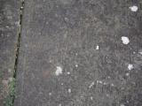 image of grave number 798486